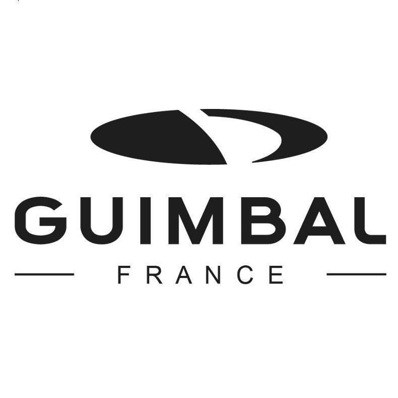 Hélicoptères Guimbal